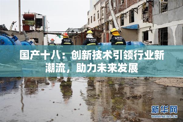 国产十八：创新技术引领行业新潮流，助力未来发展