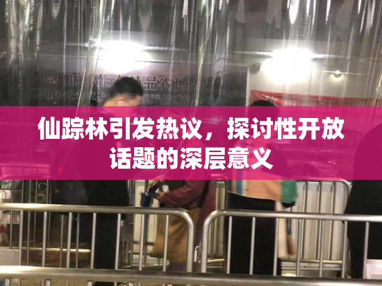 仙踪林引发热议，探讨性开放话题的深层意义