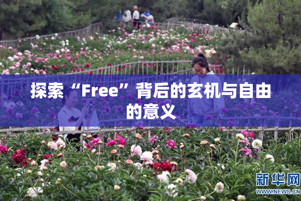 探索“Free”背后的玄机与自由的意义