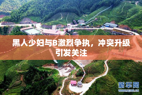 黑人少妇与B激烈争执，冲突升级引发关注