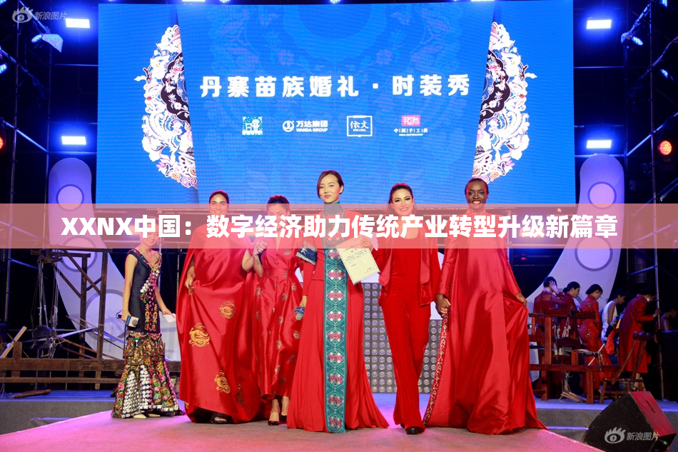 XXNX中国：数字经济助力传统产业转型升级新篇章