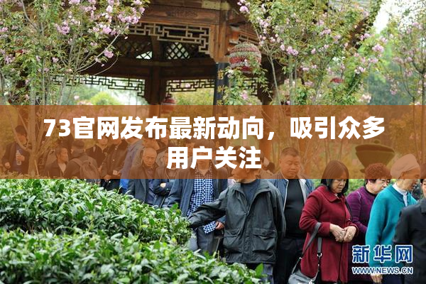 73官网发布最新动向，吸引众多用户关注