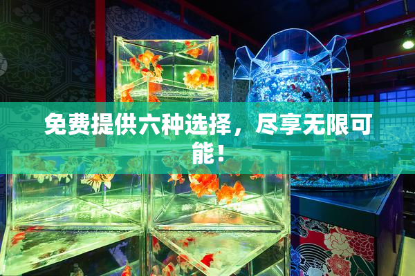 免费提供六种选择，尽享无限可能！