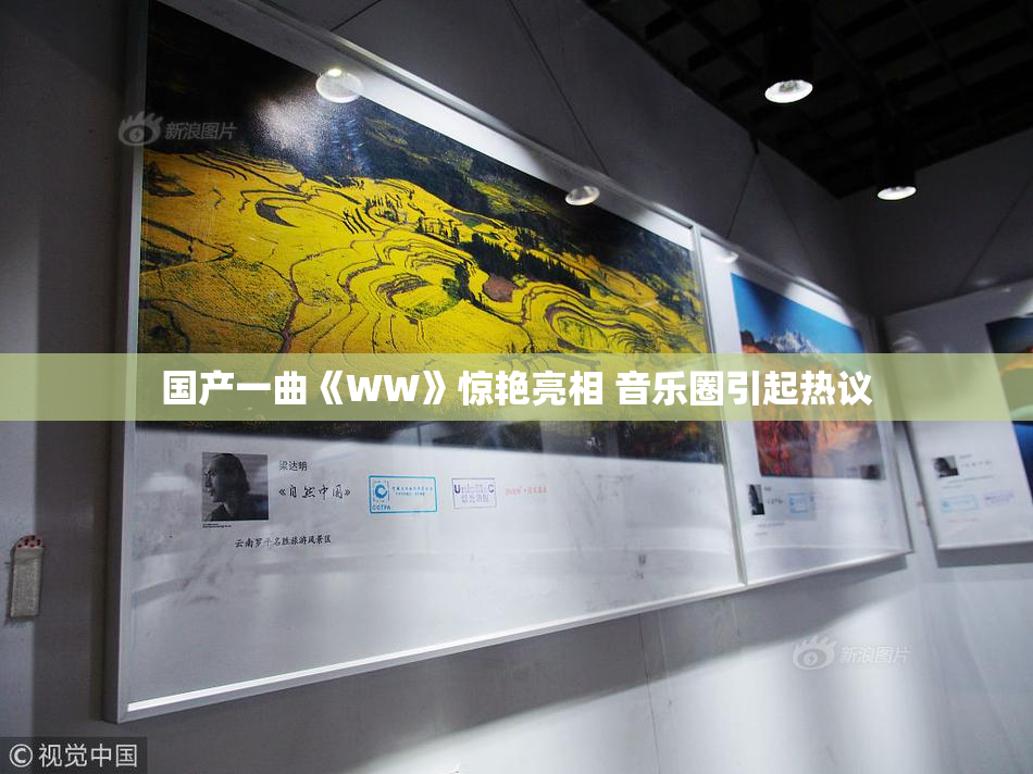 国产一曲《WW》惊艳亮相 音乐圈引起热议