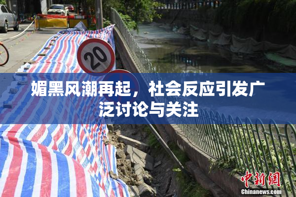 媚黑风潮再起，社会反应引发广泛讨论与关注