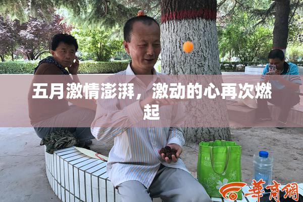 五月激情澎湃，激动的心再次燃起
