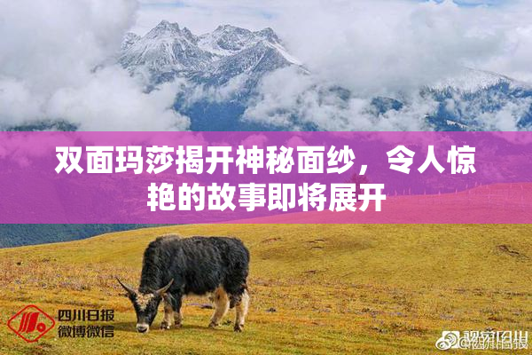 双面玛莎揭开神秘面纱，令人惊艳的故事即将展开