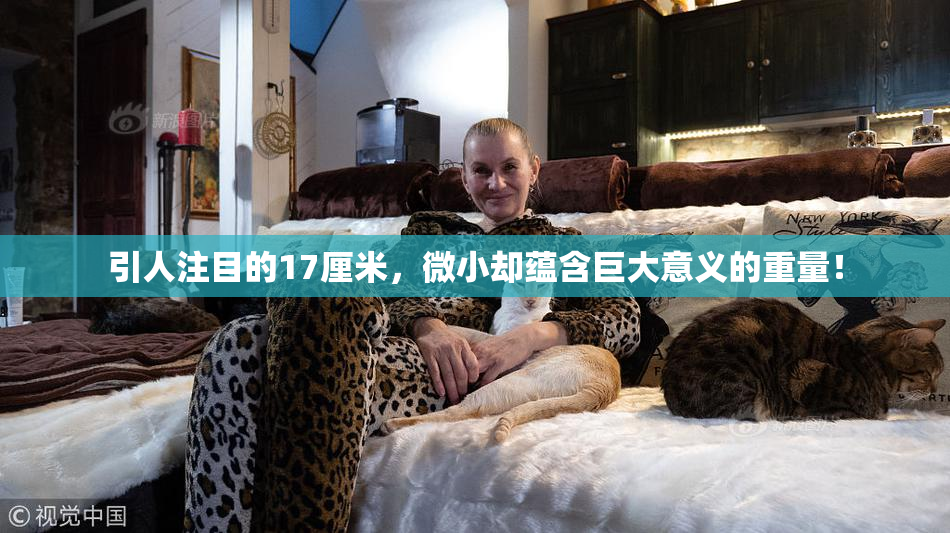 引人注目的17厘米，微小却蕴含巨大意义的重量！