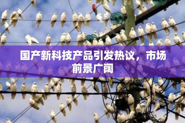 国产新科技产品引发热议，市场前景广阔