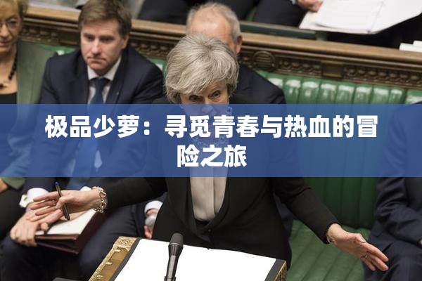极品少萝：寻觅青春与热血的冒险之旅