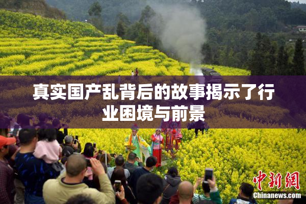 真实国产乱背后的故事揭示了行业困境与前景