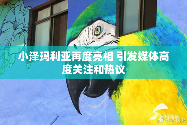 小泽玛利亚再度亮相 引发媒体高度关注和热议