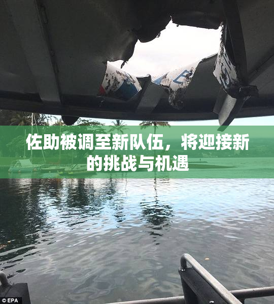 佐助被调至新队伍，将迎接新的挑战与机遇