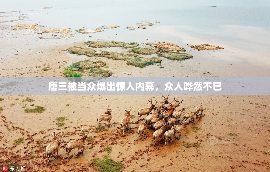 唐三被当众爆出惊人内幕，众人哗然不已