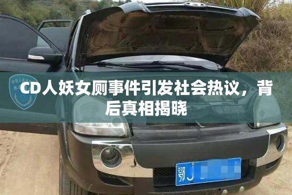 CD人妖女厕事件引发社会热议，背后真相揭晓