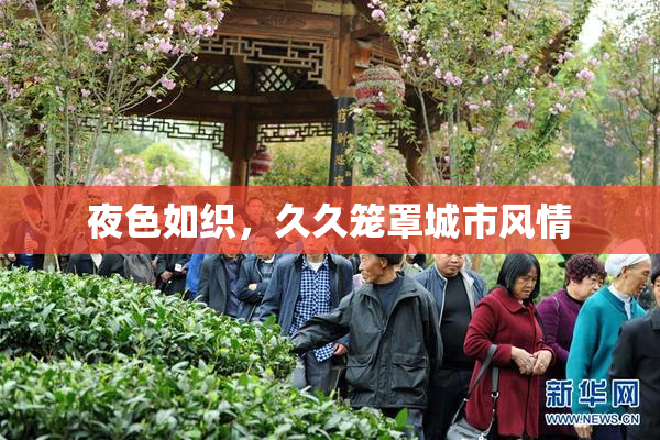 夜色如织，久久笼罩城市风情