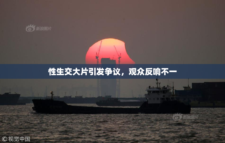 性生交大片引发争议，观众反响不一