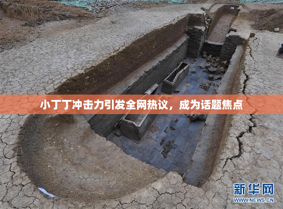 小丁丁冲击力引发全网热议，成为话题焦点