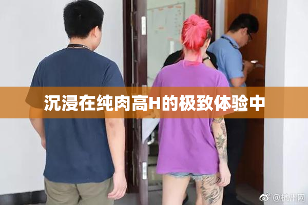 沉浸在纯肉高H的极致体验中