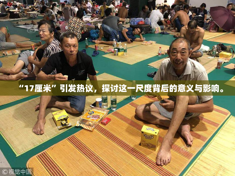 “17厘米”引发热议，探讨这一尺度背后的意义与影响。