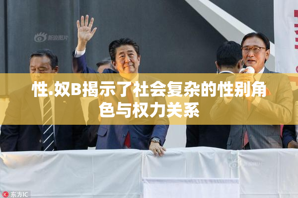 性.奴B揭示了社会复杂的性别角色与权力关系