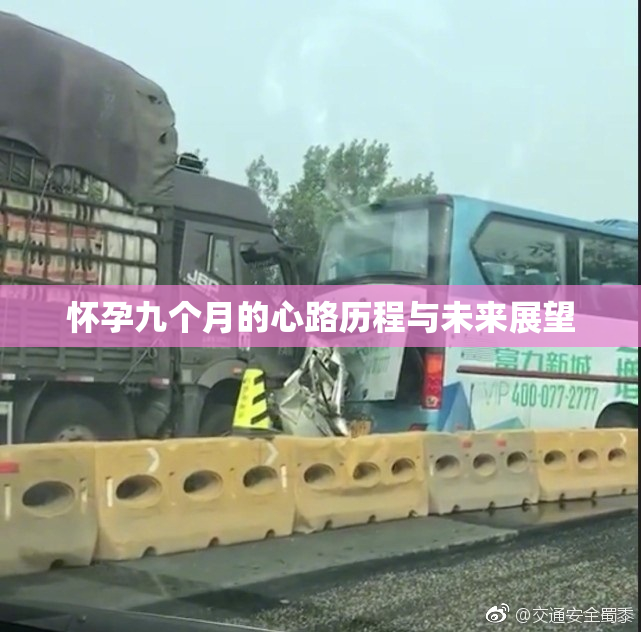 怀孕九个月的心路历程与未来展望