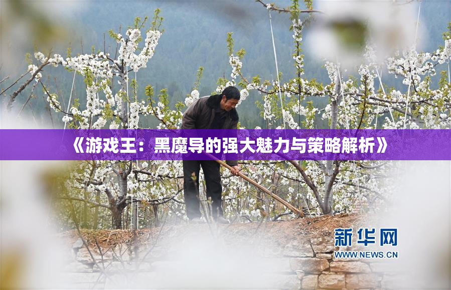 《游戏王：黑魔导的强大魅力与策略解析》