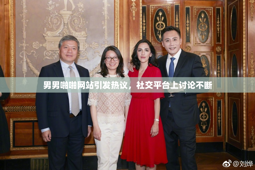 男男啪啪网站引发热议，社交平台上讨论不断