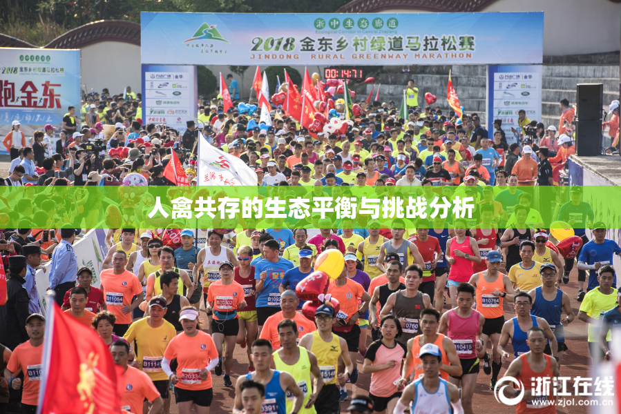 人禽共存的生态平衡与挑战分析