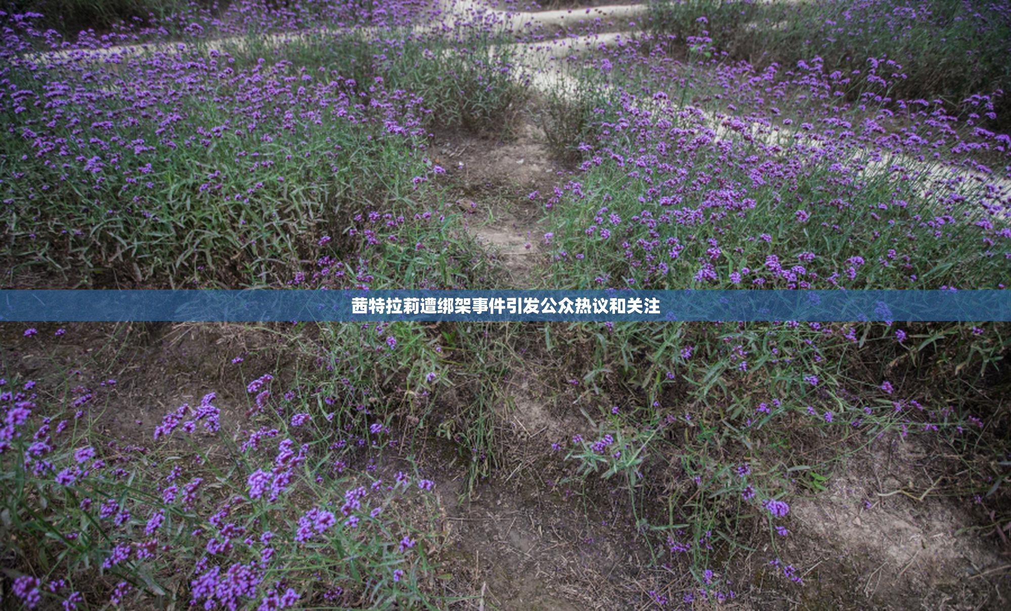 茜特拉莉遭绑架事件引发公众热议和关注
