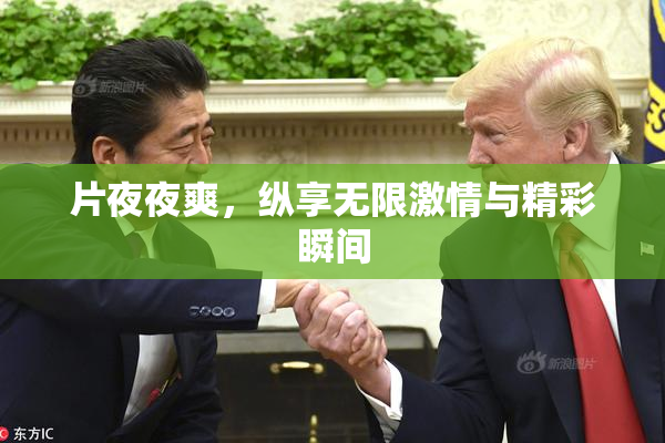片夜夜爽，纵享无限激情与精彩瞬间