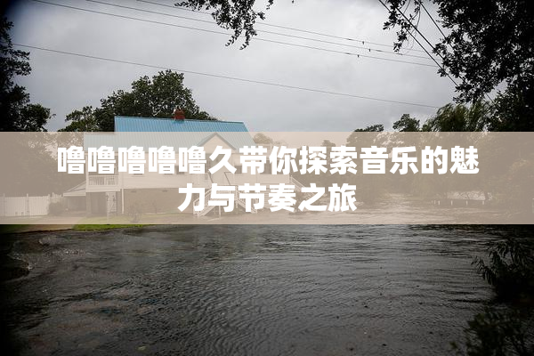 噜噜噜噜噜久带你探索音乐的魅力与节奏之旅