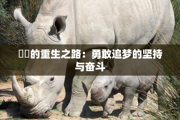 妺妺的重生之路：勇敢追梦的坚持与奋斗