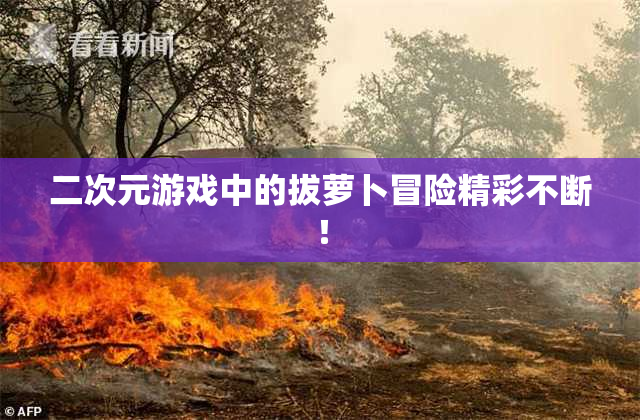 二次元游戏中的拔萝卜冒险精彩不断！