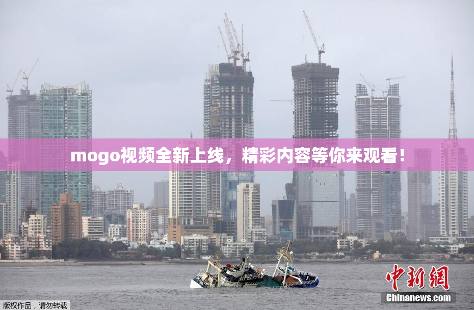 mogo视频全新上线，精彩内容等你来观看！