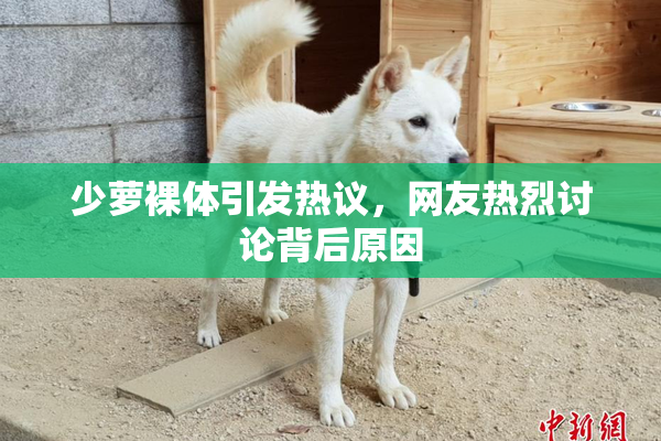 少萝裸体引发热议，网友热烈讨论背后原因