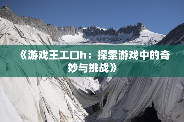 《游戏王工口h：探索游戏中的奇妙与挑战》