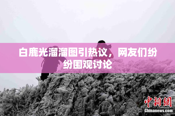 白鹿光溜溜图引热议，网友们纷纷围观讨论