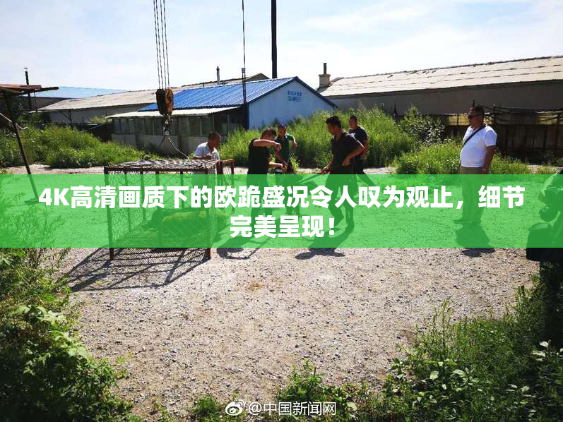 4K高清画质下的欧跪盛况令人叹为观止，细节完美呈现！