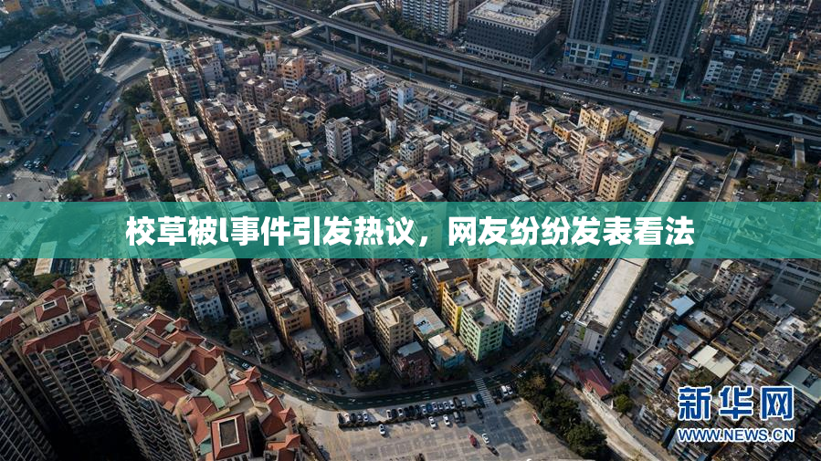 校草被l事件引发热议，网友纷纷发表看法