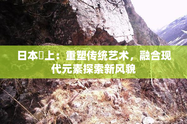 日本巜上：重塑传统艺术，融合现代元素探索新风貌