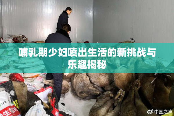 哺乳期少妇喷出生活的新挑战与乐趣揭秘