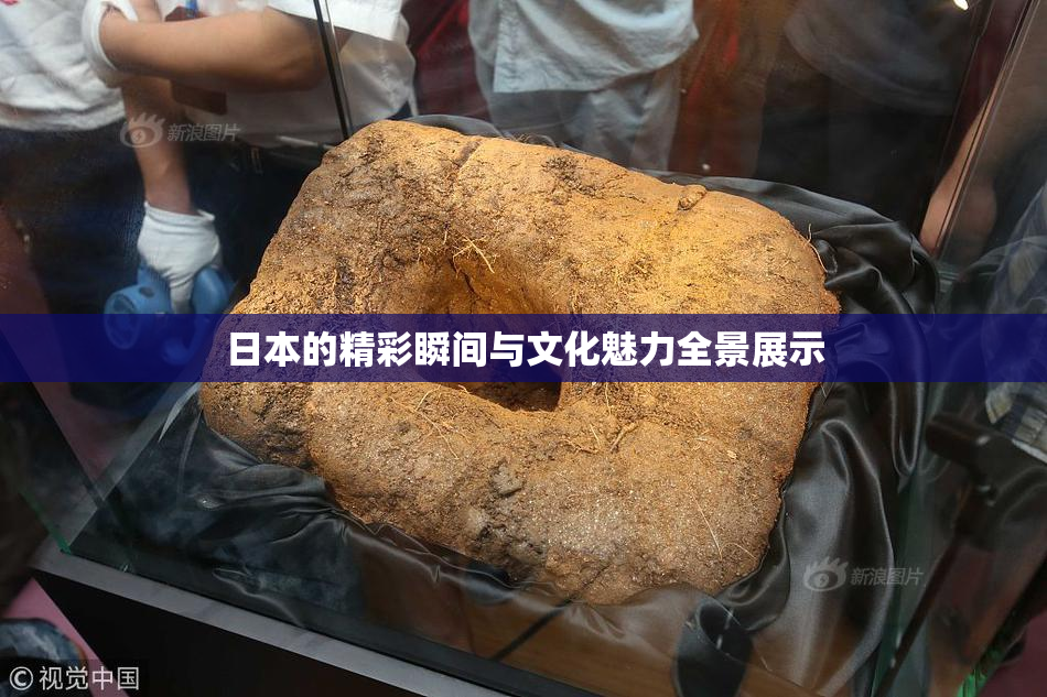 日本的精彩瞬间与文化魅力全景展示