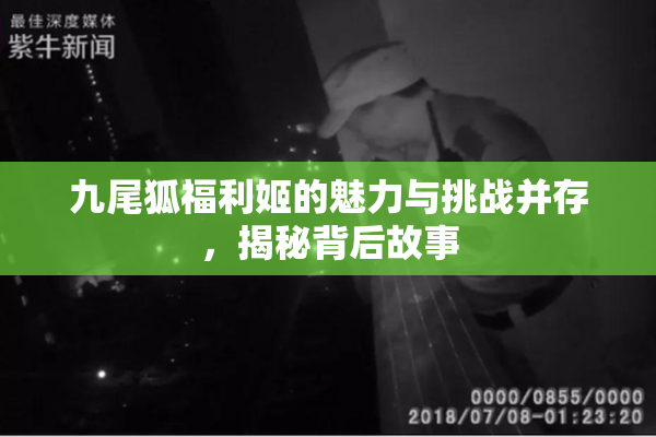 九尾狐福利姬的魅力与挑战并存，揭秘背后故事