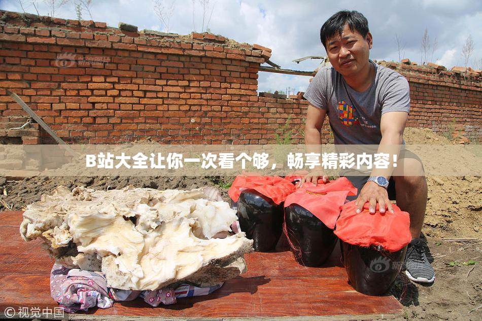 B站大全让你一次看个够，畅享精彩内容！