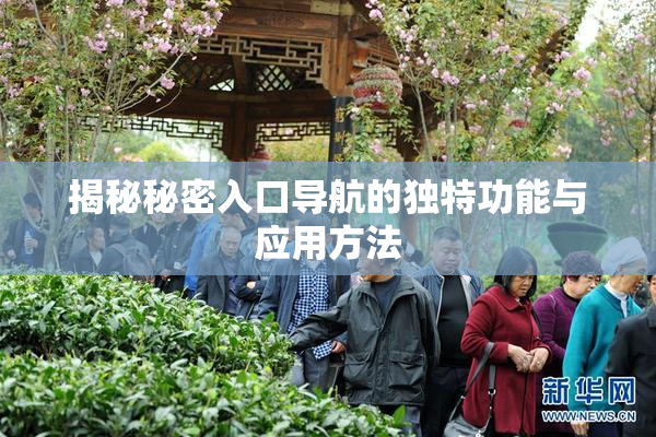 揭秘秘密入口导航的独特功能与应用方法