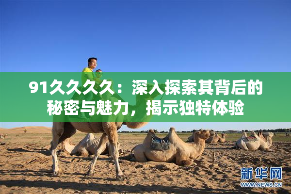91久久久久：深入探索其背后的秘密与魅力，揭示独特体验