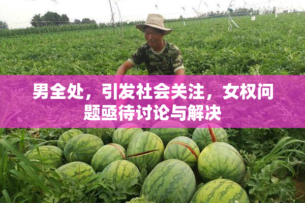 男全处，引发社会关注，女权问题亟待讨论与解决