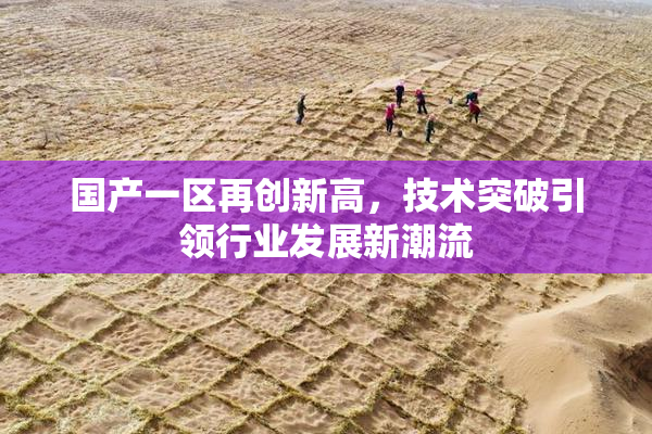 国产一区再创新高，技术突破引领行业发展新潮流