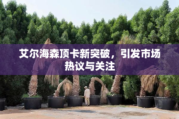 艾尔海森顶卡新突破，引发市场热议与关注